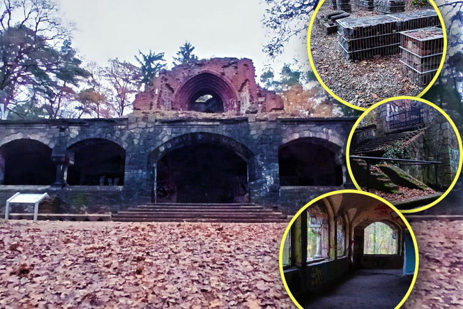 Teren wokół Wieży Quistorpa został uporządkowany