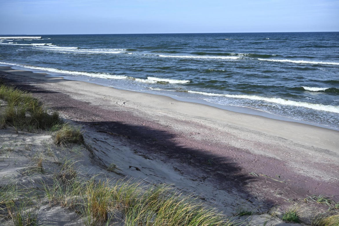 Fioletowy piasek nad Bałtykiem