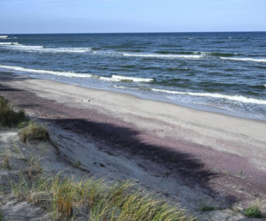 Fioletowy piasek nad Bałtykiem