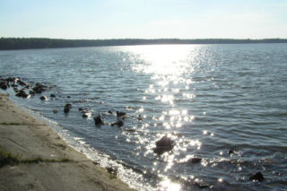 Najpierw sprzątanie, potem eko-piknik. MOSiR zaprasza nad Zalew Zemborzycki