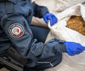 Nielegalna fabryka tytoniu zlikwidowana
