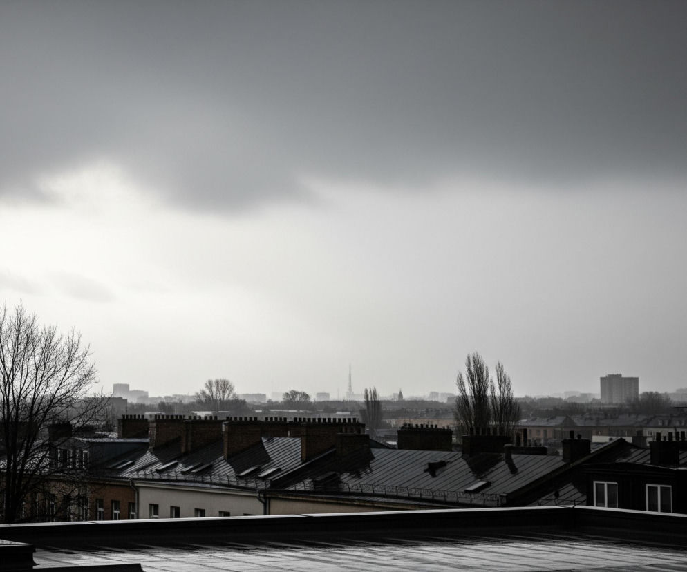 Panorama miasta widziana z góry, z dominującym pochmurnym, szarym niebem zajmującym ponad połowę kadru. Poniżej rozciąga się miejski krajobraz z licznymi dachami budynków, z których większość jest ciemna, z widocznymi rzędami kominów z cegły oraz metalowymi pokryciami dachowymi. Na pierwszym planie, w lewej części kadru, wyróżnia się duże, bezlistne drzewo o gęstych, splątanych gałęziach, natomiast w tle widoczne są sylwetki odległych budynków i drzew, zanikające w szarości mglistej atmosfery.