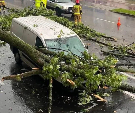 Drzewo runęło na auto znanego rapera. „Sekund od śmierci”