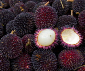 Pulasan