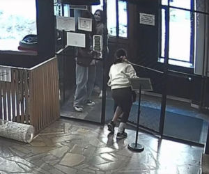 Próbowała wynieść kota z lokalu w Toruniu