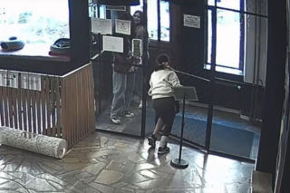 Próbowała wynieść kota z lokalu w Toruniu