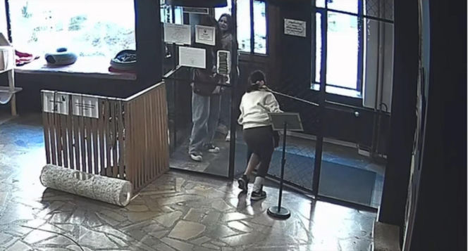 Próbowała wynieść kota z lokalu w Toruniu