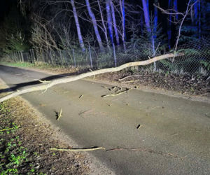 Interwencje Strażaków przy likwidacji szkód spowodowanych przez gwałtowny wiatr i burze