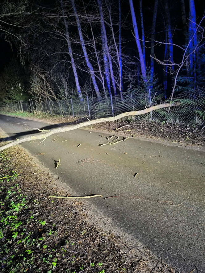 Interwencje Strażaków przy likwidacji szkód spowodowanych przez gwałtowny wiatr i burze