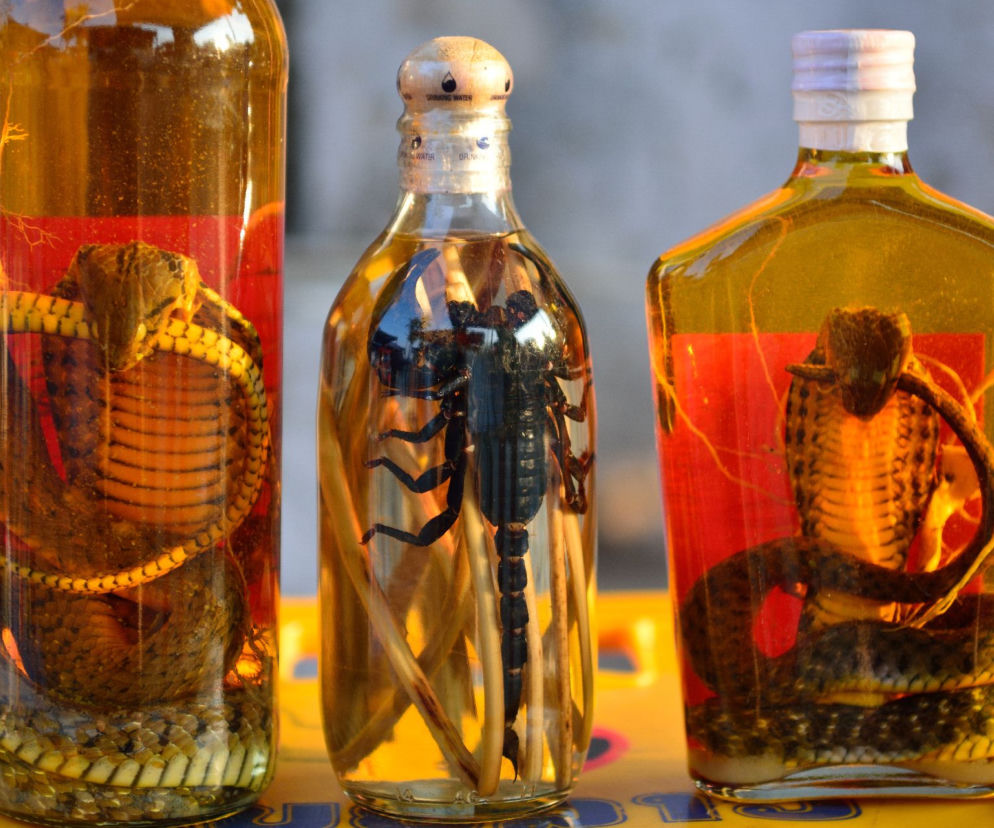 Najdziwniejsze alkohole  na świecie - wypilibyście whisky z moczu lub wino z mewy? 