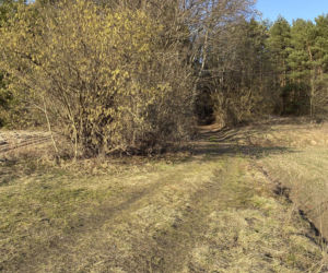 Światowa prasa pisze o śmierci Magdaleny Majtyki! Mówią o tajemnicy