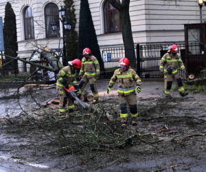 Połamane drzewa w Szczecinie