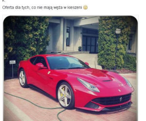 KUBA WOJEWÓDZKI.