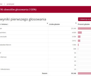 Wybory prezydenckie 2020: Jak głosowali mieszkańcy Podkarpacia