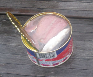 Najdziwniejsze potrawy na świecie. Tylko dla odważnych! 