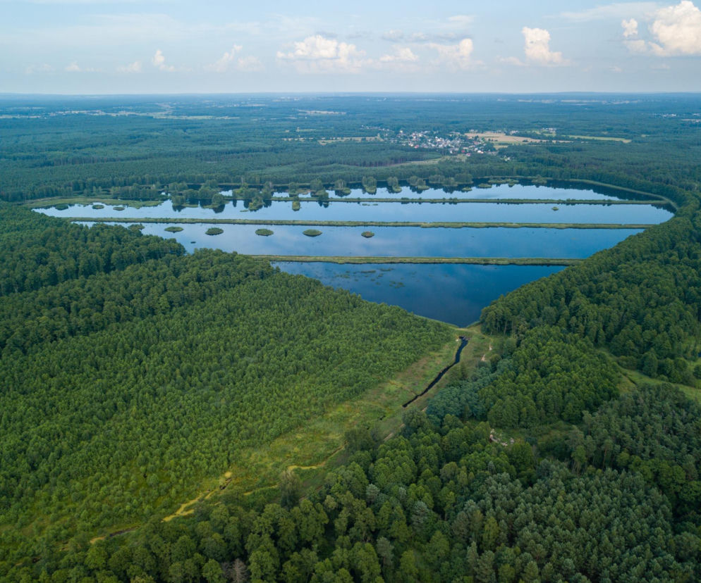 Maleniec. Poznaj historię świętokrzyskiej wsi, która niegdyś była „krainą malin”