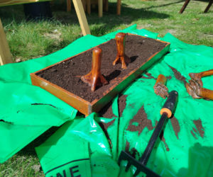 Impreza Wiosna na polu i w ogrodzie odbyła się w Siedlcach już po raz 18.