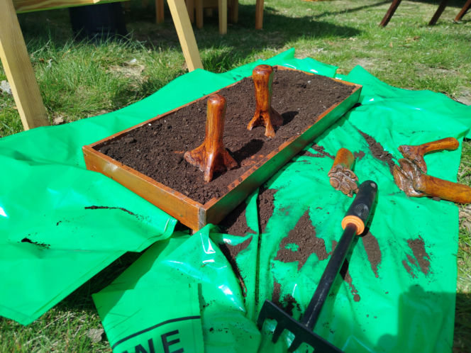 Impreza Wiosna na polu i w ogrodzie odbyła się w Siedlcach już po raz 18.