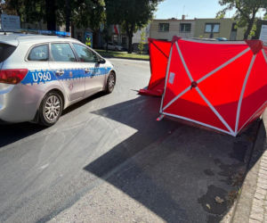 Dramat na pasach! 71-latka zginęła, 7-letnia dziewczynka trafiła do szpitala