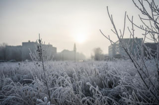 Kalisz, 03.12.2025! Mróz szczypie od rana, a co czeka nas później?