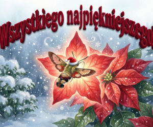 E-kartki na święta Bożego Narodzenia. Piękne grafiki do skopiowania i wysłania