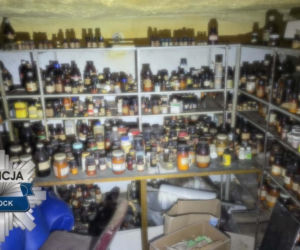 Akcja służb przy ul. Zielonej w Płocku