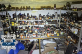 Akcja służb przy ul. Zielonej w Płocku