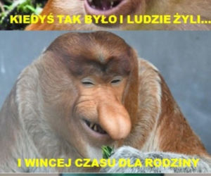 Zakaz handlu w niedziele - memy