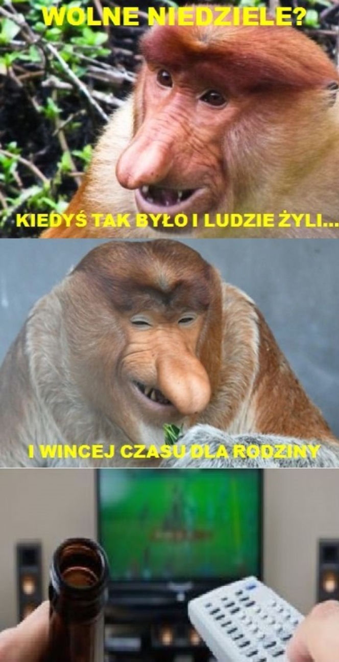 Zakaz handlu w niedziele - memy