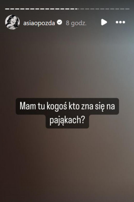Joanna Opozda obawiała się pająka