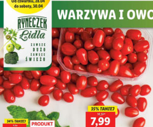 Majówka last minute w Lidlu