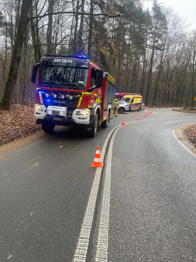 Skoda z dwiema osobami w środku uderzyła w drzewo. 4-letnie dziecko trafiło do szpitala