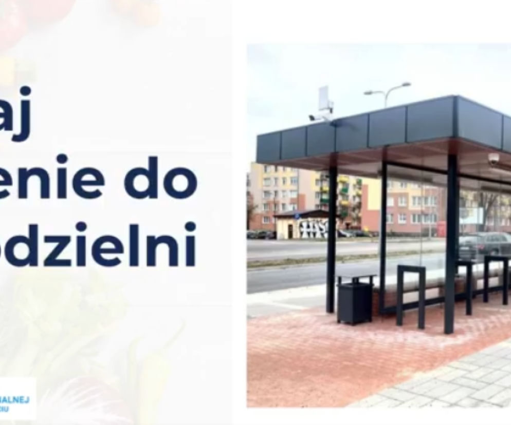 zamość