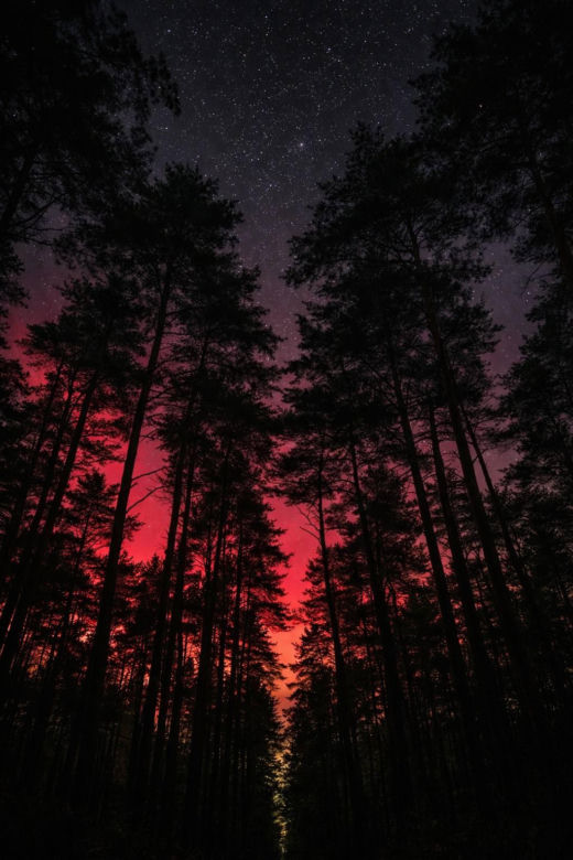Zorza ZDJĘCIA