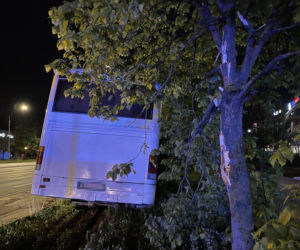 Pędził autobusem po ścieżce rowerowej. Pasażerka przeżyła chwile grozy!