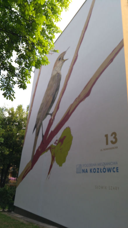 Ptasie murale na Kozłówku