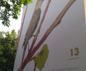 Ptasie murale na Kozłówku