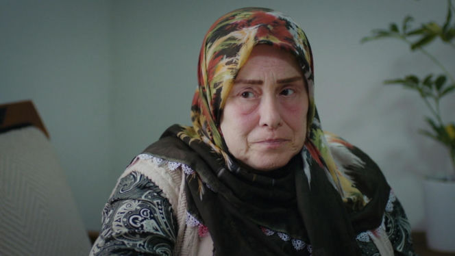 Dziedzictwo, odc. 896. Cennet