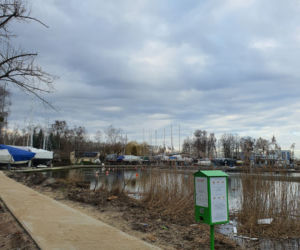 Pierwsze ptasie bufety stanęły w Szczecinie