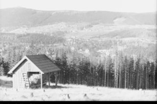 Skarb Gór Izerskich zachwyca Polaków. Szukano tu złota i ametystów