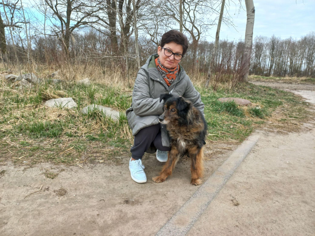 Przybyło psów w schronisku w Henrykowie koło Leszna. "Ilość zatrważająca"