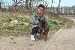 Przybyło psów w schronisku w Henrykowie koło Leszna. Ilość zatrważająca