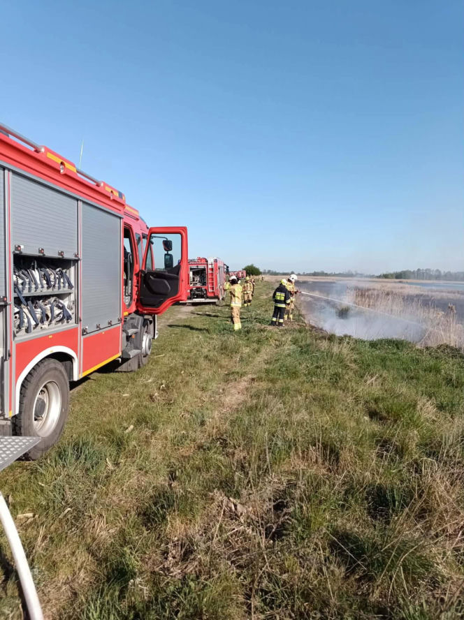 Pożar trzcinowisk pod Łukowem