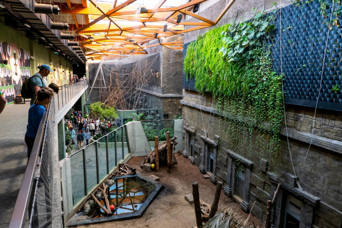 Orientarium ZOO Łódź. Kiedy są kąpiele słoni? Ile kosztują bilety w 2023?