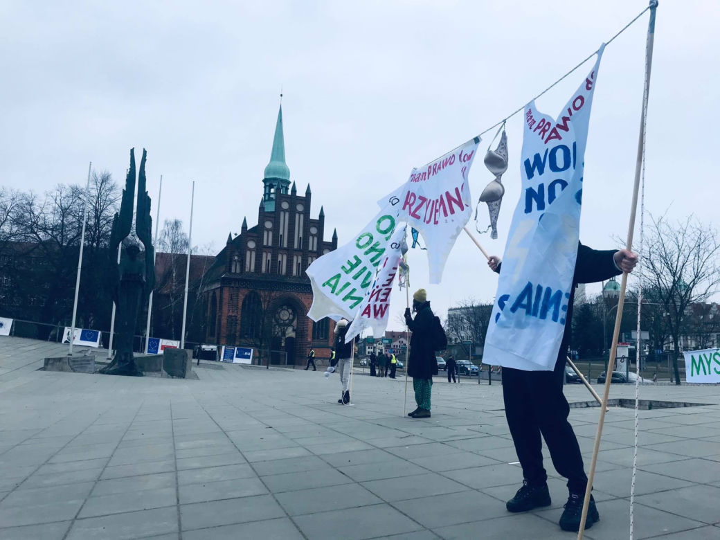 Demonstracja w Szczecinie odbyła się pod hasłem “Dzień Kobiet bez kompromisów”