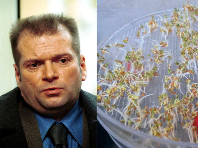 Rzeżuchy które wyglądają jak Krzysztof Rutkowski i jego legendarne fryzury