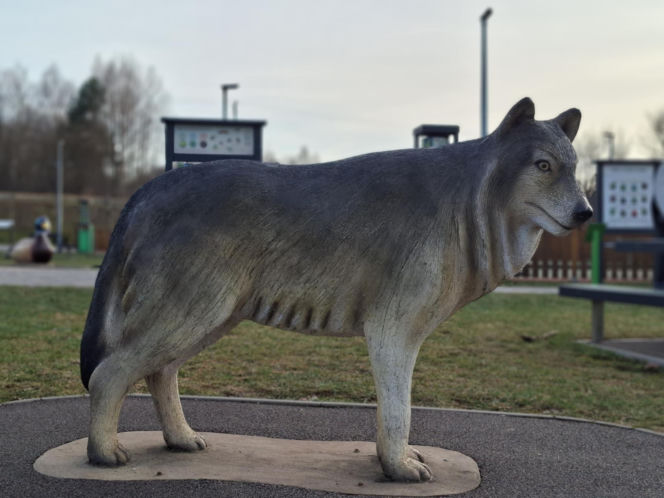 Zobacz jak zmienia się otoczenie Dębu Bartek w Zagnańsku