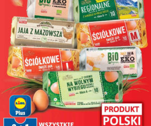 Promocje w Lidlu na sobotę