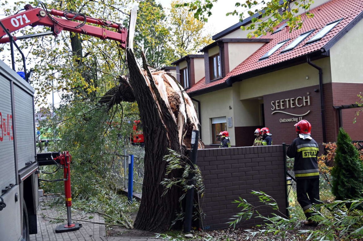 Wichury nad Polską