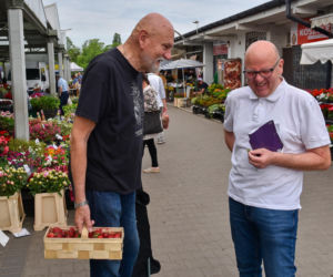 Truskawki są w tym roku lepsze! Potwierdza to nawet były prezydent Torunia